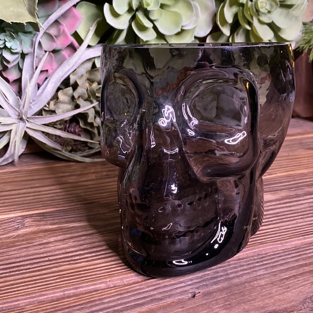 Pottery Barn Blown Soda Lime Glass Ombré Effect Large Skull Ice Bucket 💀 - Picture 4 of 16